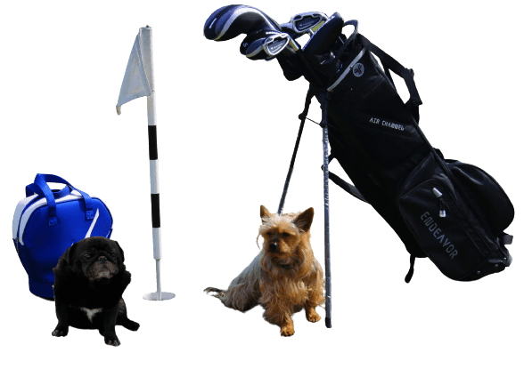 Golf Range Tincup Hürth, Golf für jedermann, Golfübungsplatz, Golf spielen in Köln & Bonn